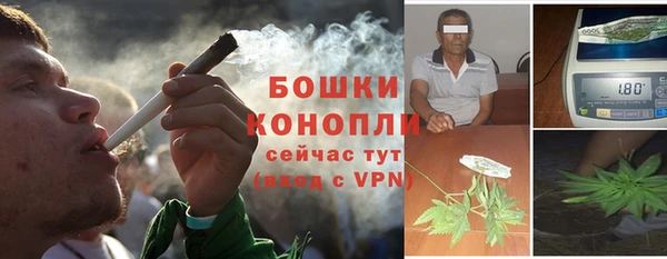 ECSTASY Инсар