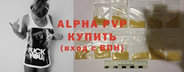 ECSTASY Инсар