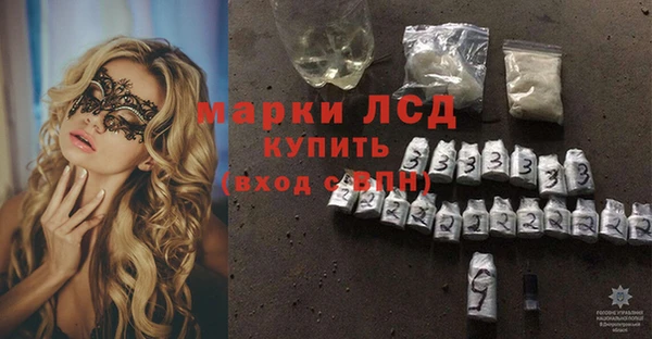 ECSTASY Инсар