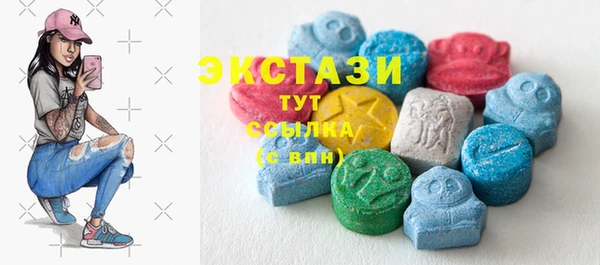 ECSTASY Инсар